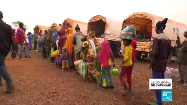 Réfugiés centrafricains : après 7 ans au Cameroun, des centaines rentrent au pays