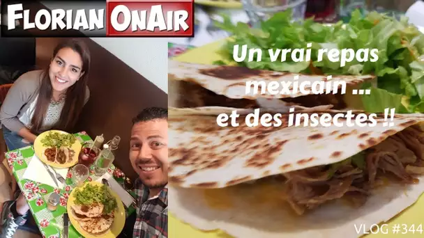Un vrai repas MEXICAIN et des INSECTES -  VLOG #344