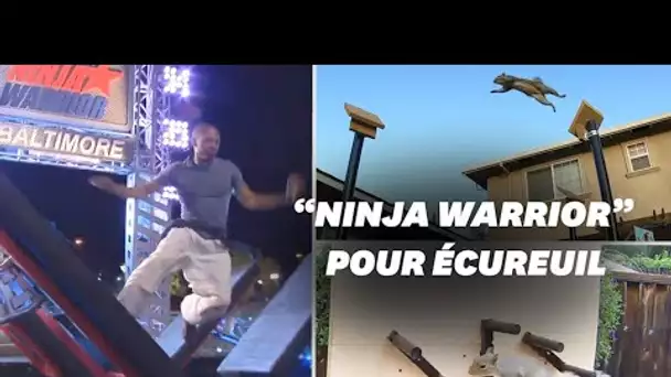 Il construit un parcours digne de "Ninja Warrior" pour les écureuils