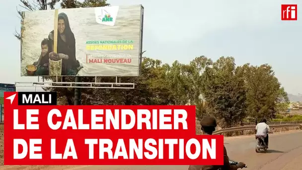 Mali : le détail de la transition proposé à la Cédéao par les autorités • RFI