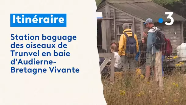 station baguage des oiseaux de Trunvel en baie d'Audierne-Bretagne Vivante