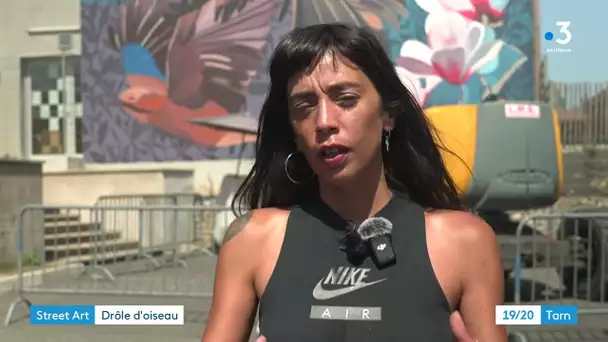 Street Art: Fiorela Silva, un oiseau rare à Aussillon
