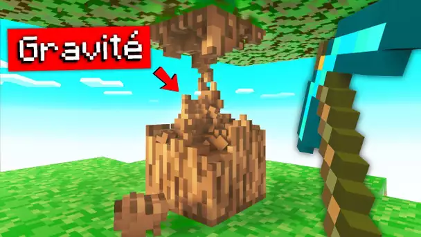 Et si les blocs de Minecraft se cassaient comme en vrai ?