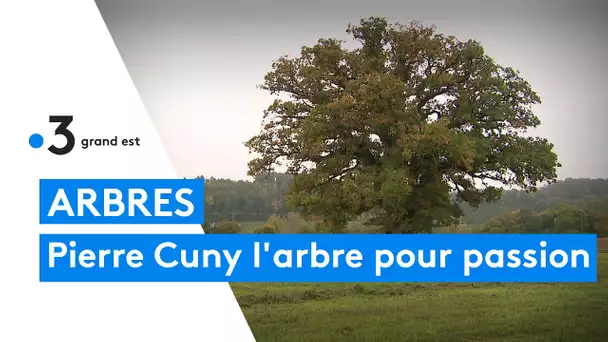 Les arbres pour passion : PIerre Cuny le converti