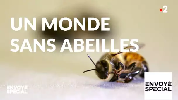 Envoyé spécial. Un monde sans abeilles - 6 juin 2019 (France 2)