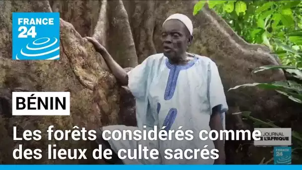 Au Bénin, les forêts sont considérées comme des lieux de culte sacrés • FRANCE 24