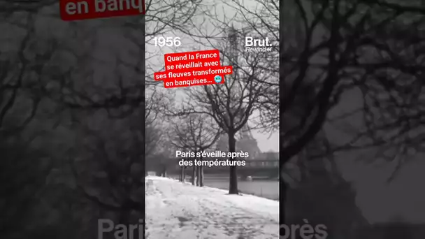 Quand la France se réveillait avec ses fleuves transformés en banquises… 🥶