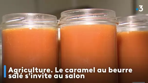 Agriculture. Le caramel au beurre salé s'invite au salon