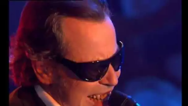 Michel Leeb - Mister Ray Charles blues - Live chez Patrick Sébastien