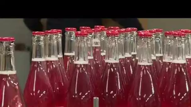 Sud-Manche : Le Meuh cola, un soda bio et responsable