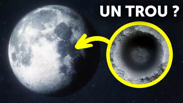 Moonstruck : Plonger dans le monde fascinant de la mystérieuse compagne de la Terre !