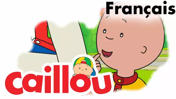 Caillou FRANÇAIS - Le criquet de Caillou (S05E01) | conte pour enfant | Caillou en Français