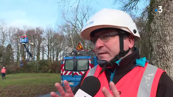 Les conséquences de la tempête Fabien en Limousin