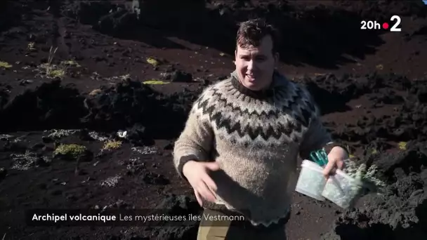 Archipel volcanique : Les mystérieuses îles Vestmann