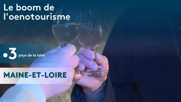 Le boom de l'œnotourisme dans le saumurois