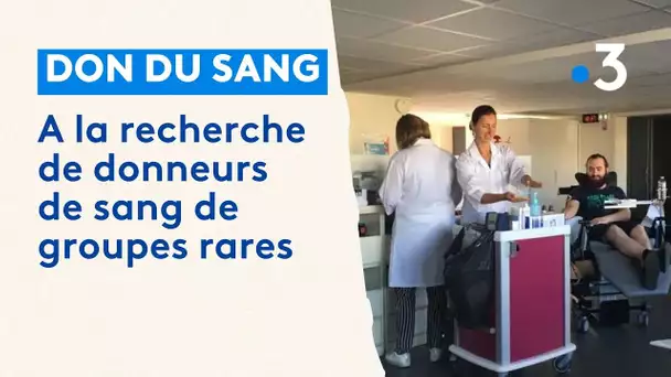 Don du sang : à la recherche de donneurs de sang de groupes rares