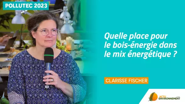 Bois-énergie : « la première énergie renouvelable en France mais aussi la moins connue »