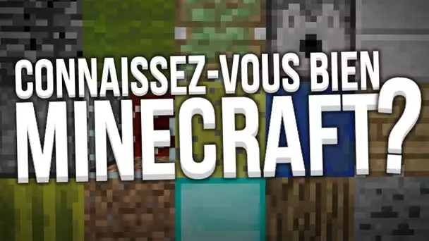 EST-CE QUE JE CONNAIS BIEN MINECRAFT ?