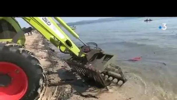 Nettoyage des plages à Hyères