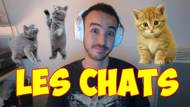 LES CHATS ! - BLEDARD STORY #5