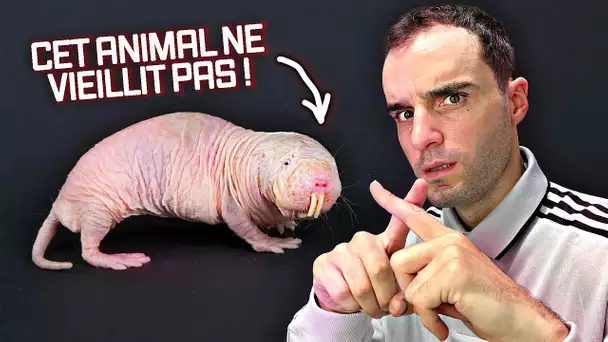 Les capacités incroyables des animaux !