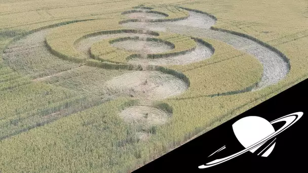 🚀La Vérité sur les Crop Circles 2/3 : les Témoignages