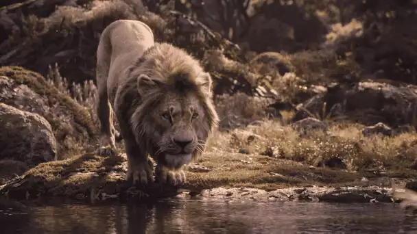 Le Roi Lion (2019) - Êtes-vous prêts pour Le Roi Lion ? | Disney