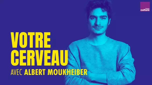 Votre cerveau : la perception du réel, avec Albert Moukheiber