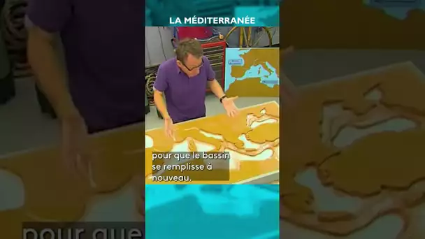 🌊 Carte d'Identité de la Méditerranée #CPS #shorts