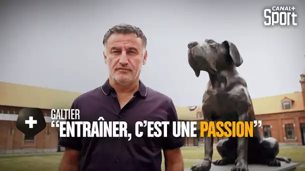 Christophe Galtier : "Entraîner, c'est une passion"