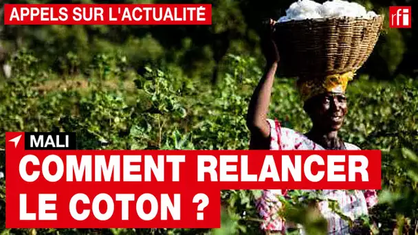 Mali : quels soutiens pour la production de coton qui s'est effondrée en 2020 ?