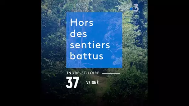 Hors des sentiers battus : découvrez l'Arboretum de la Martinière en Indre-et-Loire à Veigné