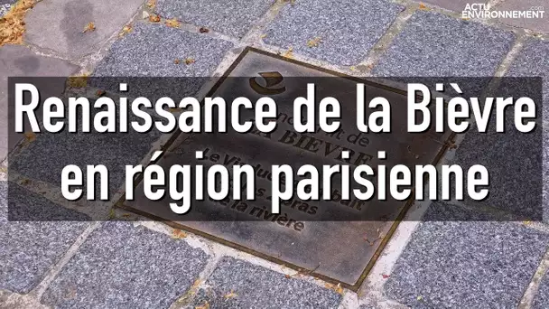 Biodiversité en ville : renaissance et renaturation de la Bièvre en région parisienne