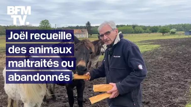 Ce septuagénaire a sauvé plus de 150 animaux maltraités ou abandonnés en créant son refuge