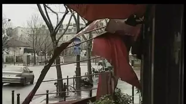 [Les forêts de Versailles et de Boulogne cinq ans après la tempête]