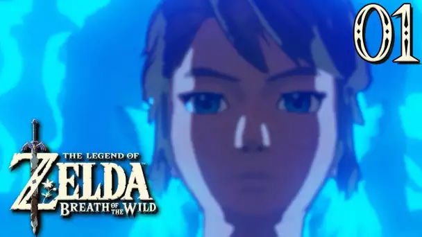 Zelda Breath of the Wild #01 : L&#039;AVENTURE D&#039;UNE VIE !
