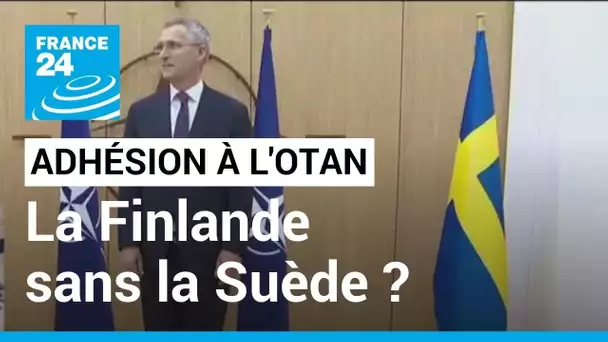 Adhésion à l'Otan : la Finlande pourrait rejoindre l'alliance sans la Suède • FRANCE 24