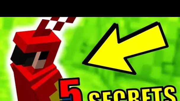 5 SECRETS SUR LES PERROQUETS MINECRAFT