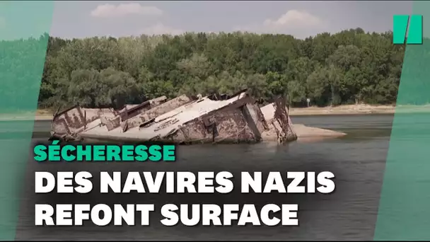 Les épaves de navires nazis refont surface avec la sécheresse