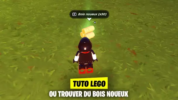 OÚ TROUVER DU BOIS NOUEUX ET COMMENT LE RECUPERER ! (FORTNITE LEGO)