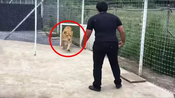 CE LION N’A PAS VU SON MAÎTRE DEPUIS 7 ANS … REGARDEZ CE QUI S’EST PASSÉ !