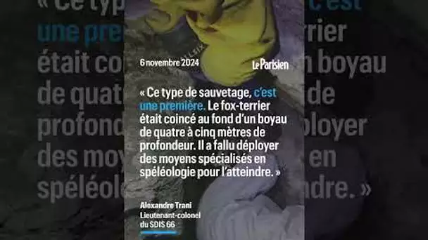 Spectaculaire sauvetage d’un chien piégé trois jours dans un trou de 5 mètres