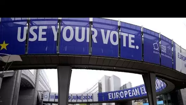 L'Europe centrale plus exposée à la désinformation à l'approche des élections européennes ?