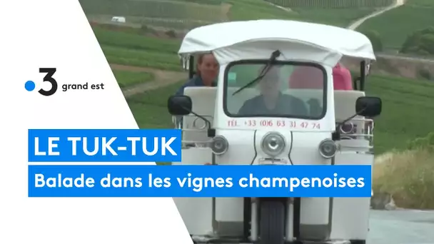 Tuk-Tuk : visite insolite du vignoble champenois