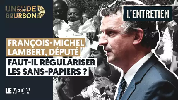 FAUT-IL RÉGULARISER LES SANS-PAPIERS ? - FRANÇOIS-MICHEL LAMBERT, DÉPUTÉ