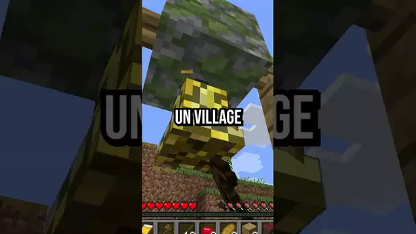 Je rajoute 1 minute à ma survie à chaque abonné...