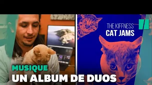 The Kiffness, musicien sud-africain, a créé un album entier de duos avec des chats