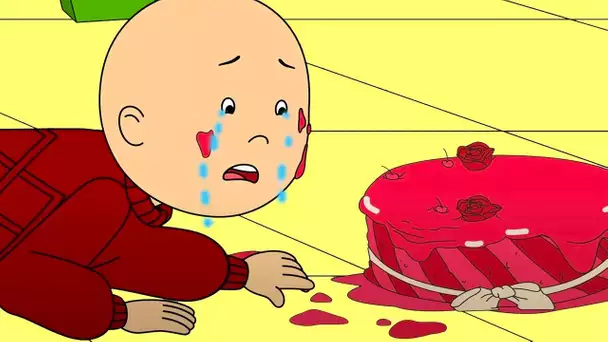 Catastrophe de gâteau D'anniversaire | Caillou en Français