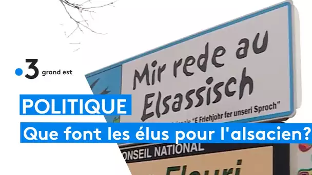 Entre la CEA et le Grand Est qui a le leadership sur l'alsacien ?