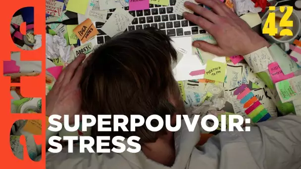 Le stress nous fait-il du bien ? | 42, la réponse à presque tout | ARTE